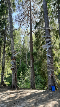 Сплав по реке Шуя