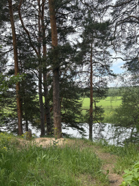 Однодневный пеший поход «Звенигородский заказник и карьер Сима»