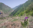 Большая Кавказская тропа: из Дербента вдоль Горной стены