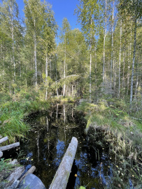 Рысья гора (ночёвка в доме с баней)