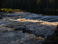 Сплав по реке Шуя