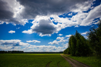 Фото из отзыва участника