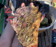 Поход под парусами: Японское море (Южное Приморье)