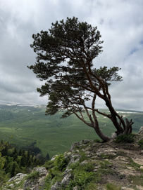 Горный лагерь в Адыгее