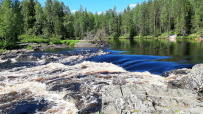 Сплав по реке Шуя