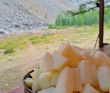 Горный лагерь в Актру (проживание в домиках)