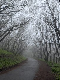 Пятигорский перевал (программа с размещением в старинном купеческом особняке XIX в.)