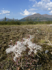 Рыбалка на плато Путорана. Озеро Собачье и Глубокое