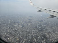 Сакура навсегда!