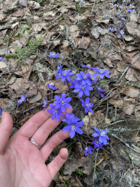 Сплав по реке Китенйоки