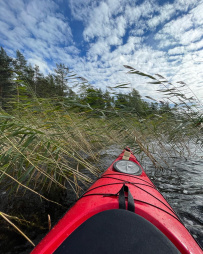 Прогулка на каяках по Ладожским шхерам на выходные (сб или вс)