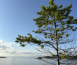 Сплав по реке Кереть и Белое море