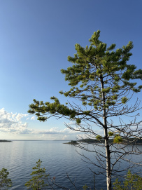 Сплав по реке Кереть и Белое море