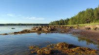 Сплав по реке Кереть и Белое море