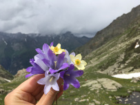 Горный лагерь в Дигории (Северная Осетия)