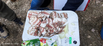 Сплав по реке Укса (Уксунйоки)