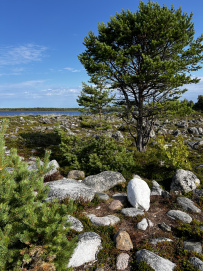 По Соловкам без рюкзаков