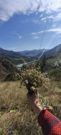 Сплав по реке Катунь
