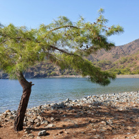 В Сердце Ликийской тропы (Поход вдоль моря, без рюкзаков)