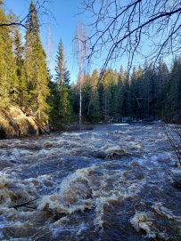 Сплав по реке Китенйоки 