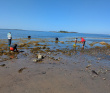 Сплав по реке Кереть и Белое море