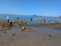 Сплав по реке Кереть и Белое море