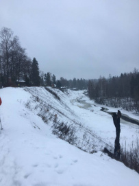 Девонские пески. Прогулка по Оредежским берегам