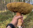Ладога на каяках длинный поход (4-9 дней)