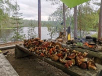Сплав по реке Писта (Пистайоки) на байдарках