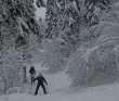 Лыжный поход с тёплой ночёвкой «Страна белоснежных троп» (Подмосковье)