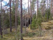 Поход на Треугольное озеро (ночёвка в гостевом доме Лиетлахти)