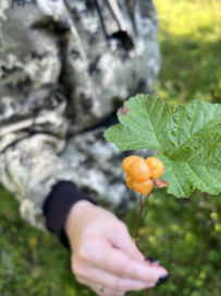 Сплав по реке Писта (Пистайоки) на байдарках