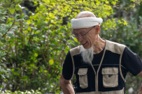 Фудзияма и другие сокровища Японии