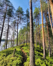Сплав по реке Пистайоки (Писта)