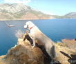 В Сердце Ликийской тропы (Поход вдоль моря, без рюкзаков)