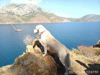 В Сердце Ликийской тропы (Поход вдоль моря, без рюкзаков)