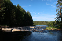 Сплав по реке Шуя