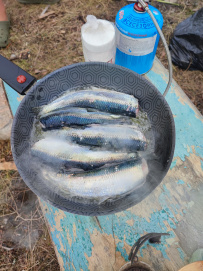 Соловецкие Острова в Белом Море (экскурсии + поход)