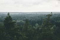 Фото из отзыва участника