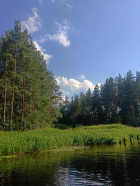 Однодневный сплав по реке Нерская
