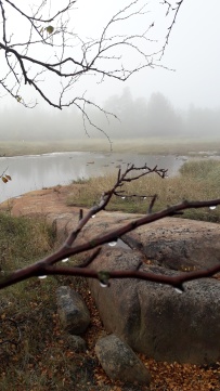 Сплав по реке Воньга и Белое Море на байдарках