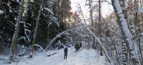 Ночь в Партизанской пещере (с пещерным кинотеатром)