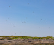 Белое море на морских каяках (байдарках): Кемские шхеры и загадочные Кузова