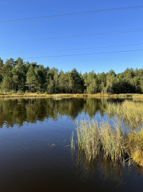 Однодневный пеший поход «Звенигородский заказник и карьер Сима»