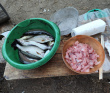 Сплав и рыбалка на Умбе (рыболовный маршрут)