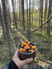 Сплав по реке Кереть и Белое море