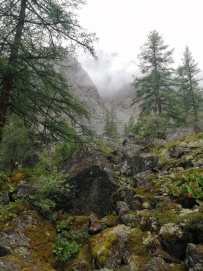 Горный лагерь в Актру (проживание в домиках)