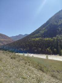 Сплав по реке Катунь