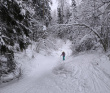 Лыжный поход с тёплой ночёвкой «Страна белоснежных троп» (Подмосковье)