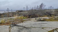 Крыша Ладоги
